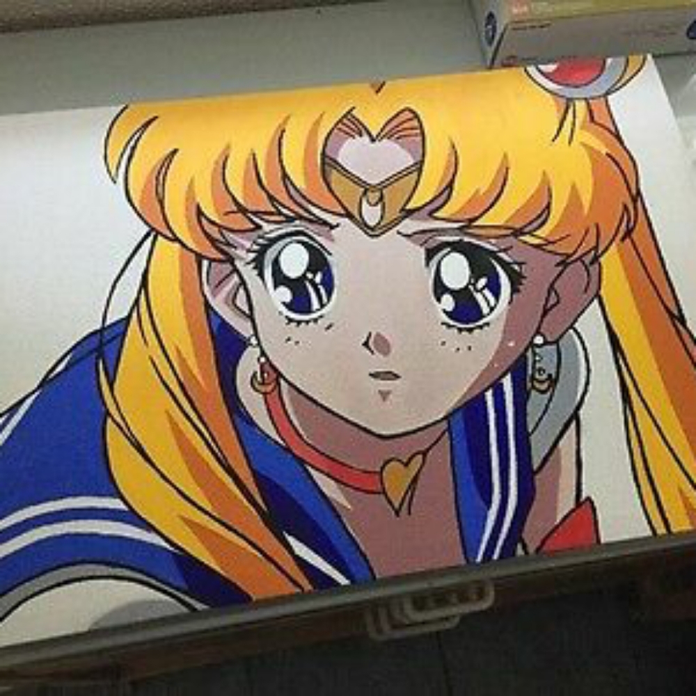 16 by 20 Sailor Moon painting